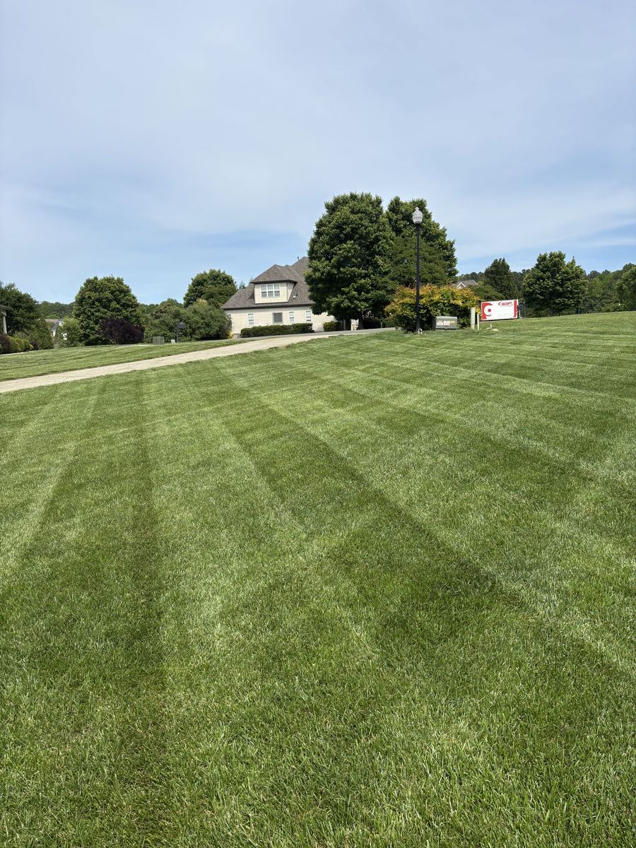 Wide lawn with long, clean mowing stripes running toward a distant house