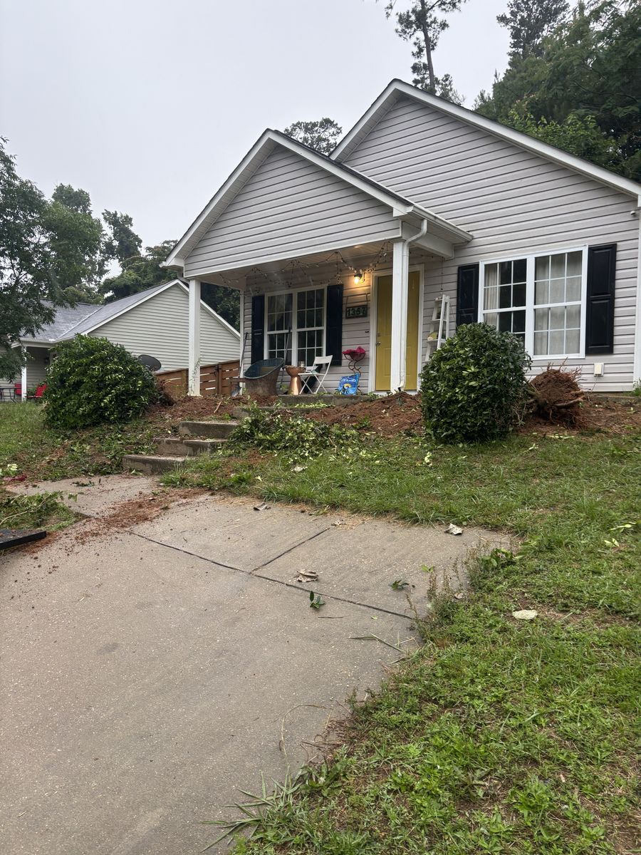Gray house where mature shrubs are being dug out of the front bed